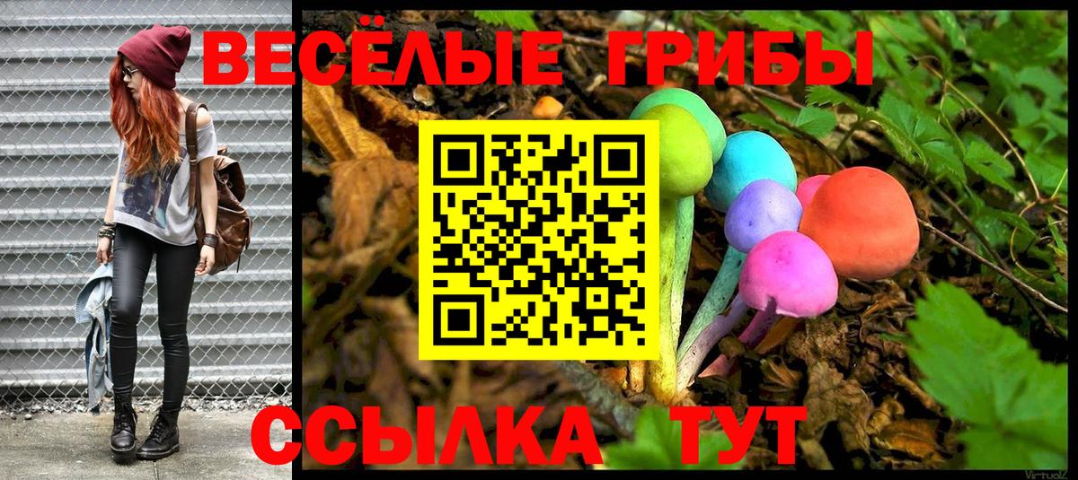Петрозаводск  Псилоцибиновые грибы Cubensis  Вход с VPN 