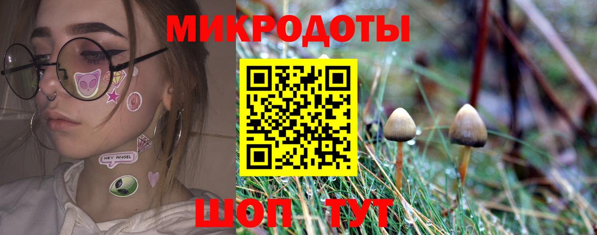 Галлюциногенные грибы MAGIC MUSHROOMS Петрозаводск